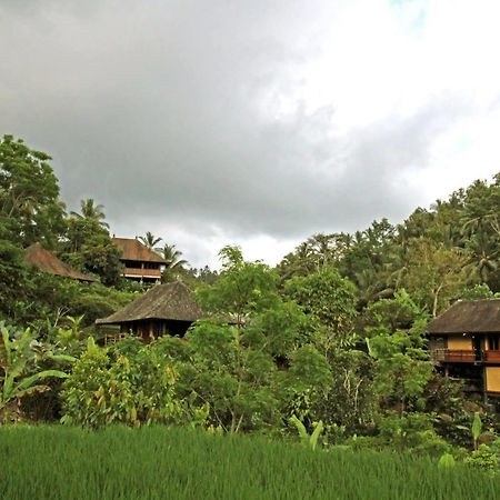 Bali Eco Stay Exteriér fotografie